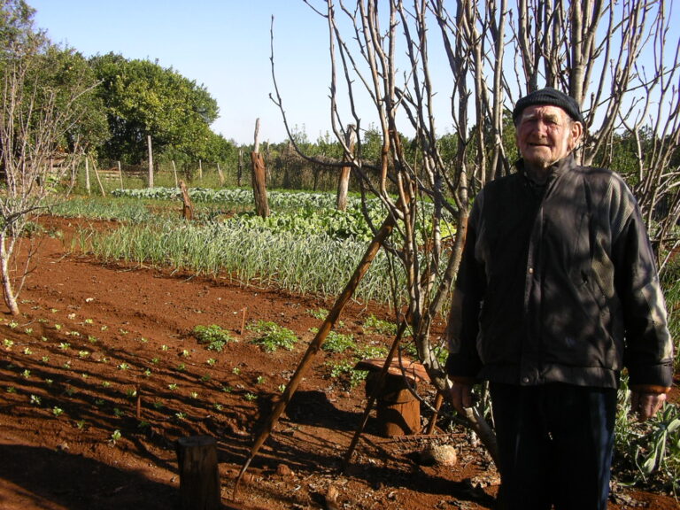 Desarrollo Rural de las Provincias del Noroeste Argentino